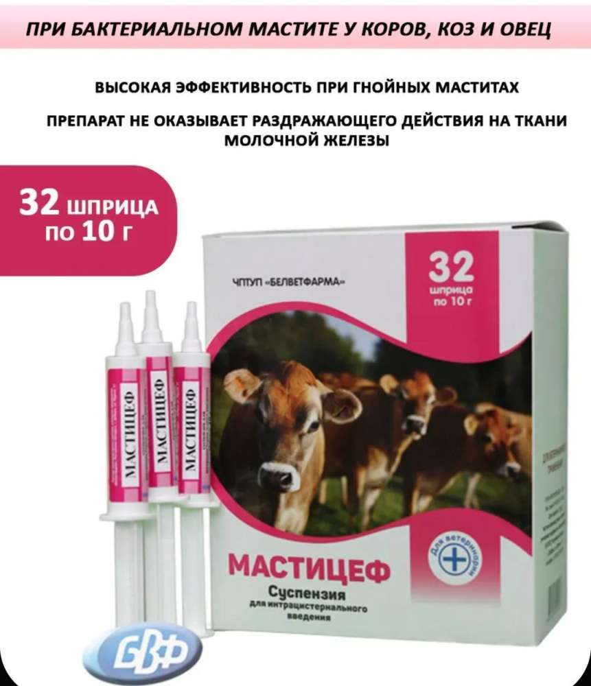 Мастицеф (10г) (256шт), 8*32